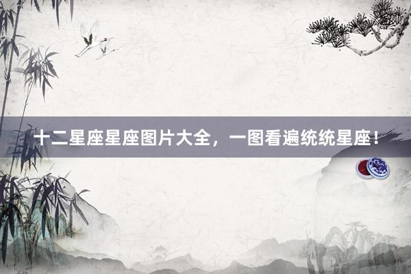 十二星座星座图片大全，一图看遍统统星座！