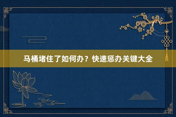 马桶堵住了如何办？快速惩办关键大全