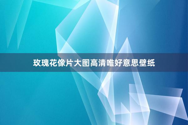 玫瑰花像片大图高清唯好意思壁纸